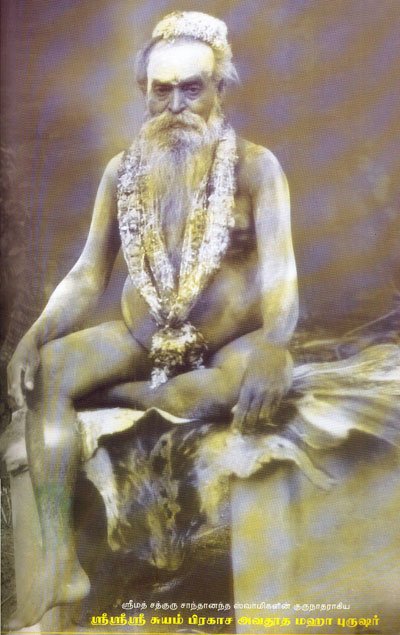 hhsriswayamprakashabhremendrasaraswathi2.jpg